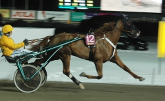 Foto: Annika Lindblom, Travkompaniet